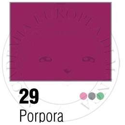 Colorex • 29 Porpora