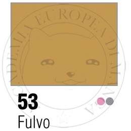 Colorex • 53 Fulvio